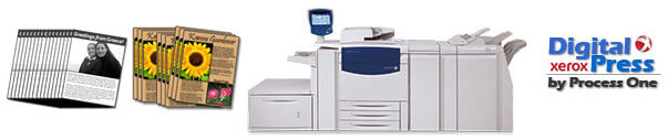 Xerox copies - color and black and white. Digital press printer.