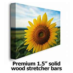 Premium 1.5 inch solid wood stretcher bars.